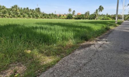 ขายที่ดิน - ขายที่นาและสวนมะพร้าว 13 ไร่ ติดถนน อยู่ตรงข้ามวัดยางงาม ซอยวัดยางงาม35 ต.วัดยางงาม อ.ปากท่อ จ.ราชบุรี