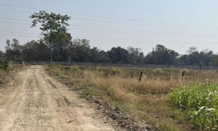 ขายที่ดิน - ขายที่ดิน 15 ไร่ ทำเลดี ติดกองบิน 4 ตาคลี เข้า ออกสะดวก น้ำไม่ท่วม