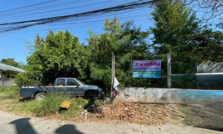 ขายที่ดิน - ขายที่ดินเปล่าซอยตีเหล็ก ต.ในเมือง โคราช เนื้อที่ 243ตารางวา ทำเลดี หายาก