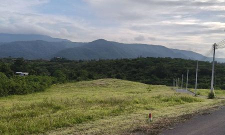 ขายที่ดิน - ขายที่บนเนินเขาใหญ่ โป่งตาลอง ปากช่อง ที่สูงบนเนิน 3.5 ไร่ วิวเขาใหญ่สวย ชัดมาก อากาศบริสุทธิ์ ลมดีมาก เดินทางสะดวก ใกล้3052 Toscana ตำหนักทิพย์พิมาน