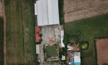 ขายโรงงาน / โกดัง - โกดังและสิ่งปลูกสร้าง โกดังขนาดใหญ่ โครงสร้างแข็งแรง ต. นาดี อ.หนองแสง จ.อุดรธานี