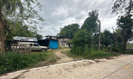 ขายที่ดิน - ขายที่ดินบ้านหนองเลง หนองขาม 200 ตรว. ใกล้นิคมปิ่นทอง10กม. อ.ศรีราชา ชลบุรี