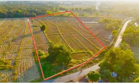 ขายที่ดิน - ขายที่ดินติดทางหลวงสวย ราคาถูก ตำบลบ้านเดื่อ อ.ท่าบ่อ จ.หนองคาย