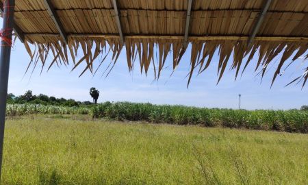 ขายที่ดิน - Sale Nice Land ขายที่ดินเปล่า 9ไร่ แบ่งขายได้ แวดล้อมร่มเย็นน่าอยู่ ลมดี อากาศดี