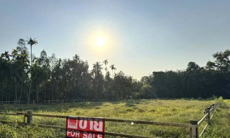 ขายที่ดิน - ขาย ที่ดินเปล่าสี่เหลี่ยมผืนผ้า แปลงมุม โฉนดครุฑแดง ต.บางบุตร บ้านค่าย-ระยอง