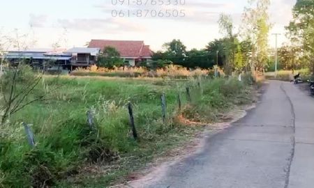 ขายที่ดิน - ขายที่ดิน 4ไร่ ในตัวเมืองอำนาจเจริญ เหมาะปลูกบ้าน ทำโครงการจัดสรร ทำโกดัง ใกล้ถนนใหญ่