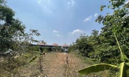 ขายที่ดิน - ขายที่ดินท่าถ่านซอยจิตรเกษม 110 ตรว. ถมแล้วใกล้ถนน3076-350เมตร พนมสารคาม ฉะเชิงเทรา