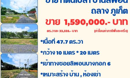 ขายที่ดิน - ขายที่ดินเปล่า ลิพอนบางขาม ถลาง ภูเก็ต ทำบ้านเช่า สร้างบ้านได้