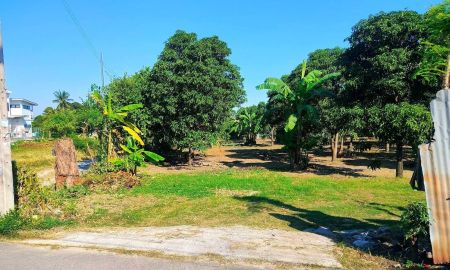 ขายที่ดิน - ที่ดินบางใหญ่ฝั่งตรงข้ามโรงพยาบาลบางใหญ่ 1 ไร่ 2 งาน ถมแล้ว ใกล้ถนนกาญจนาภิเษกเพียง1.4 กม.