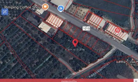 ขายที่ดิน - ขายที่สวนลำใย ทำเลดี ติดถนน ต.ริมปิง อ.เมืองลำพูน จ.ลำพูน