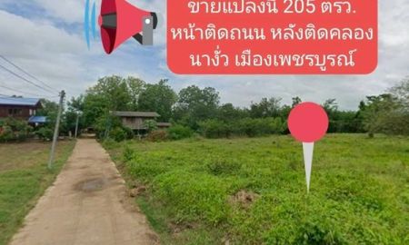 ขายที่ดิน - ขายที่ดิน 205.9 ตรว. นางั่ว เมืองเพชรบูรณ์