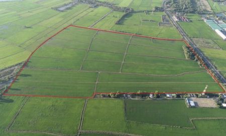 ขายที่ดิน - ขายที่ดิน 233-3-61 ไร่ แปลงสวย ติดถนน 2 ด้าน ต.บางขวัญ อ.เมืองฉะเชิงเทรา (เจ้าของขายเอง)