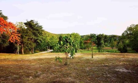 ขายที่ดิน - ที่ดินสวย วิวเขา ติดน้ำ 6-3-49.6 ไร่ น้ำแพร่ อ.หางดง เชียงใหม่