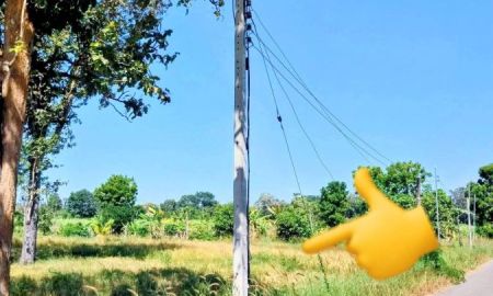 ขายที่ดิน - ที่ดินแปลงสวย ติดถนนลาดยาง มีไฟฟ้า ราคาถูก หนองกี่ บุรีรัมย์