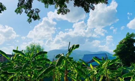 ขายที่ดิน - ขายที่ดินทำเลทอง! หมู่บ้านช่างทอง ต.สุเทพ อ.เมืองเชียงใหม่ ใกล้มหาวิทยาลัยเชียงใหม่ (หลัง มช.)