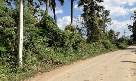 ขายที่ดิน - ขายที่ดิน เหมืองกอก นาคตแพะ ป่าตัน แม่ทะ ลำปาง