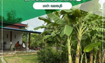 ขายที่ดิน - ขายที่ดินพร้อมบ้าน + สิ่งปลูกสร้าง เนื้อที่ ทั้งหมด 1ไร่ 2งาน 10.4ตรว.