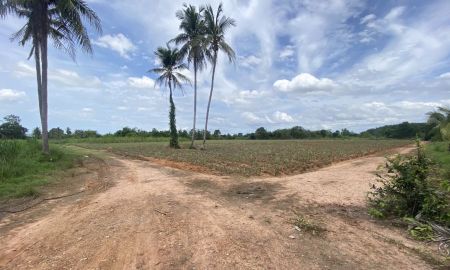 ขายที่ดิน - ขายที่ดิน 8 ไร่(น้ำไม่ท่วม) เอกสิทธิ์ นส.3 ก.