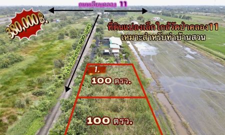ขายที่ดิน - ที่ดินคลอง 11 หนองเสือ ปทุมธานี แปลงเล็กราคาถูก 100 ตรว. เพียง 360,000 บาท
