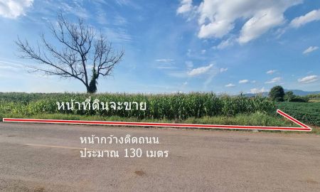 ขายที่ดิน - ขายที่ดิน 20ไร่เศษ ต.ลาดแค ชนแดน ขายเหมายกแปลง1.9 ล้าน
