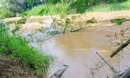 ขายที่ดิน - ขายสวนผสมติดแม่น้ำลี้ ติดถนนคอนกรีต เหมาะทำบ้านพักตากอากาศ พูลวิลล่า คาเฟ่ร้านอาหารริมแม่น้ำ