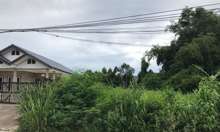 ขายที่ดิน - ขายที่ดินนาจอมเทียน พัทยา 212 ตรว. ซอยทุ่งเจ๊กเลี่ยว ใกล้หาดบ้านอำเภอ5กม. อ.สัตหีบ จ.ชลบุรี