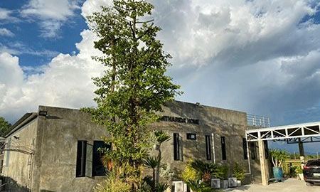 ให้เช่าบ้าน - ให้เช่า บ้านพูลวิลล่า สันผีเสื้อ วิวเขาและทุ่งนา เป็นบ้านชั้นเดียว ยกระดับ ตกแต่ง ทันสมัย