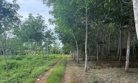 ขายที่ดิน - ขายที่ดิน สวนยาง 17 ไร่ 2 งาน อ.นาทวี จ.สงขลา