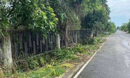 ขายที่ดิน - ขายที่ดินธัญบุรี คลอง 8 ใกล้เมือง ทำเลศักยภาพสูง อ.ธัญบุรี จ.ปทุมธานี