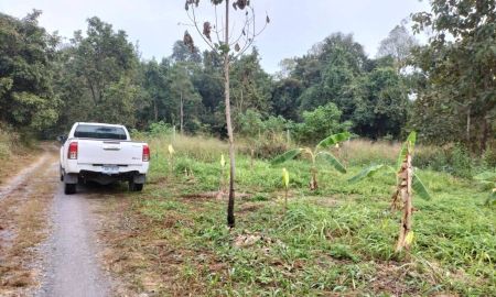 ขายที่ดิน - ขายที่ดินหลังมหาวิทยาลัยแม่โจ้ห่างเพียง 6 กม ราคาถูก