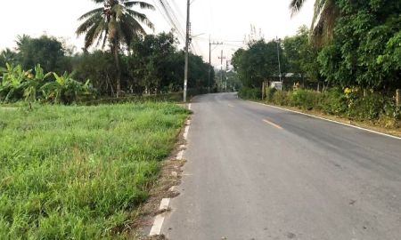 ขายที่ดิน - ขายที่ดินตำบลป่าไผสันทรายติดถนนคอนกรีตพร้อมโอน