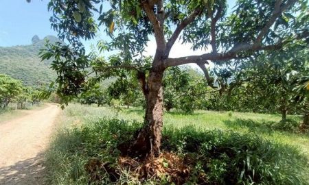 ขายที่ดิน - ขายที่ดินเปล่า ถมแล้ว 2ไร่ 1งาน 24 ตร.ว. อำเภอสามร้อยยอด จังหวัดประจวบคีรีขันต์