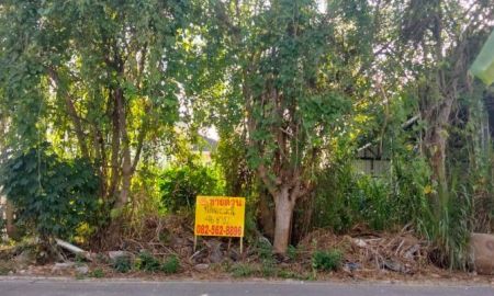 ขายที่ดิน - ขายที่ดินเปล่า ซอยรังสิต-นครนายก42 คลอง1 ธัญบุรี