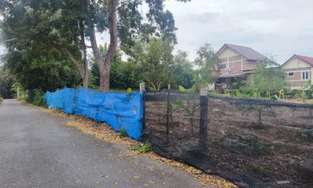 ขายที่ดิน - ขายถูก ที่ดินแปลงเล็ก หาดสุขเสมอ ชะอำ เพชรบุรี