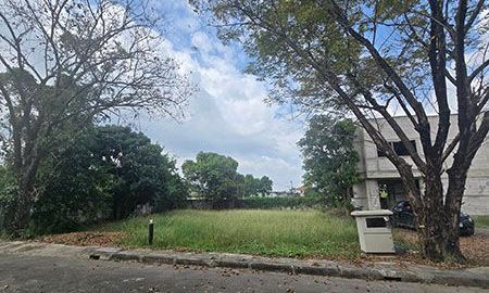 ขายที่ดิน - ขายด่วนๆๆ ขายราคาตัด ที่ดินเปล่า หลังรร.วารี เชียงใหม่ เพียง1.3กม.