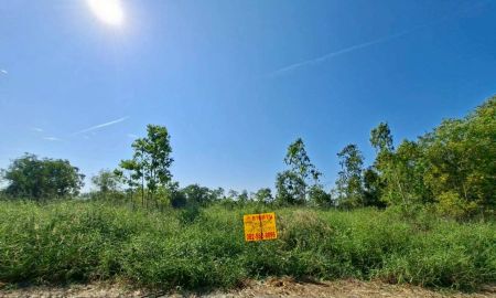 ขายที่ดิน - ขายที่ดินเปล่า ซอยสะพานเหลือง(คลองแอน คลอง4) คลองหลวง