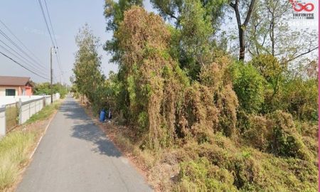 ขายที่ดิน - ขายที่ดิน 200 ตารางวา ถนนท่าแดง-ดอนเจริญ วังกระโจม นครนายก