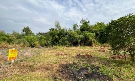 ขายที่ดิน - ขายที่ดินเปล่า ซอยท่ามะกอก หนองแค สระบุรี