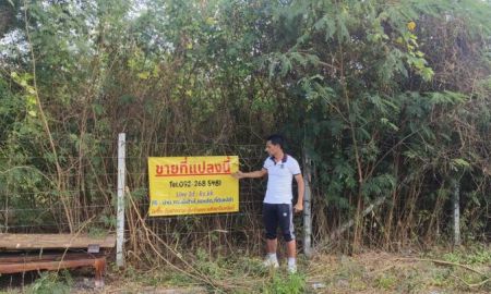 ขายที่ดิน - ขายถูก ที่ดินเปล่า ถมแล้ว แปลงหัวมุม รังสิต-นครนายก60