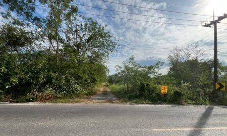 ขายที่ดิน - ขายที่ดินเปล่า ซอยบ้านวังทิพย์ ใกล้อ่างเก็บน้ําห้วยปรือ นครนายก