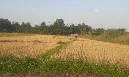 ขายที่ดิน - ขายที่ดิน 2ไร่ 80 ตร.วา ราคา 6.4ล้านบาท ใกล้วัดร้องขุ่น ต.ป่าอ้อดอนชัย อ.เมือง เชียงราย