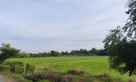 ขายที่ดิน - ขายที่ดินแปลงสวย ทำเลดี ใกล้ถนน 346 เพียง 2.7 กม. ลาดหลุมแก้ว บน ถ.เทศบาล 4- เนื้อที่ 12 ไร่ 3 งาน 87.7 วา2