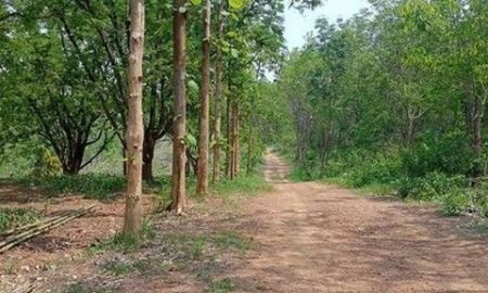 ขายที่ดิน - ขายที่ดินสวนมะขาม 28ไร่2งาน 3.5ล้านบาท บ้านดงทิพย์ ต.ท่าอิบุญ อ.หล่มสัก เพชรบูณ์