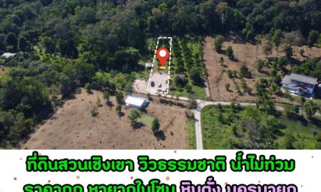 ขายที่ดิน - ขายที่ดินเชิงเขา หินตั้ง-นครนายก วิวสวย น้ำไม่ท่วม ที่ดินพร้อมสวนผลไม้ ทำเลศักยภาพ เหมาะปลูกบ้าน / Home Stay / Pool Villa