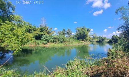 ขายที่ดิน - ขายสวนผสมติดแม่น้ำลี้ ติดถนนคอนกรีต เหมาะทำบ้านพักตากอากาศ พูลวิลล่า คาเฟ่ร้านอาหารริมแม่น้ำ