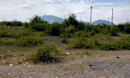 ขายที่ดิน - ขายที่ดิน ชะอำ 50 ตารางวา ไม่ไกลจากหาดชะอำ เจ้าของขายเองต่อรองได้