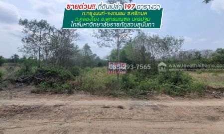 ขายที่ดิน - ขายที่ดิน ถนนกรุงนนท์-จงถนอม ซอยศรีกมล ต.คลองโยง อ.พุทธมณฑล นครปฐม พื้นที่ 197 ตารางวา ขาย 1.1 ล้านบาท ใกล้มหาวิทยาลัยราชภัฎสวนสุนันทา