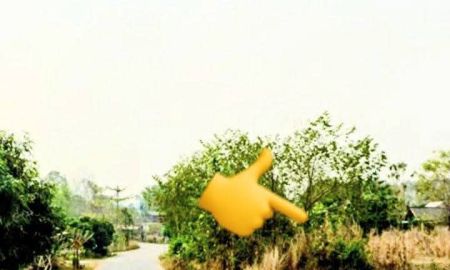 ขายที่ดิน - ที่ดินอยู่อาศัย กลางชุมชน น้ำไม่ท่วม น่าน