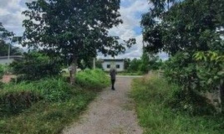 ขายที่ดิน - ขายที่ดินเปล่าพุนพิน เขาหัวควาย ทำเลดี เข้าออกได้ 2 เส้นทาง เส้นสถานีรถไฟพุนพิน ถนนบรรเทา 3/5