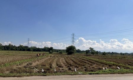 ขายที่ดิน - ขายที่ติดถนน สายป่าตันแม่ปรุง ถัดจากร้าน You Love Me Lampang แม่ทะ